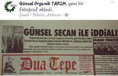 basında günsel grup