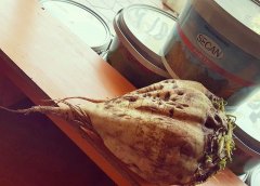 Secan Gübrelerimiz ile beslemesi yapılan Kırıkkale Baliseyh Kirlangic köyü muhtarımız Ramazan beyin Ikinci ekim olan Sokumune 45 gün kalan PANCAR  KG .4.05KG HAYIRLI HASATLAR DILIYORUZ...GUNSEL GRUP...