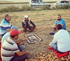 Biz Üreticimizin çektiği sıkıntıyı bilip yol alanlardaniz Üreticimizin ayagina gidip derdine ortak olaniz yılmadan mücadelemize devam edeceğiz...