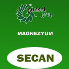 MAGNEZYUM...